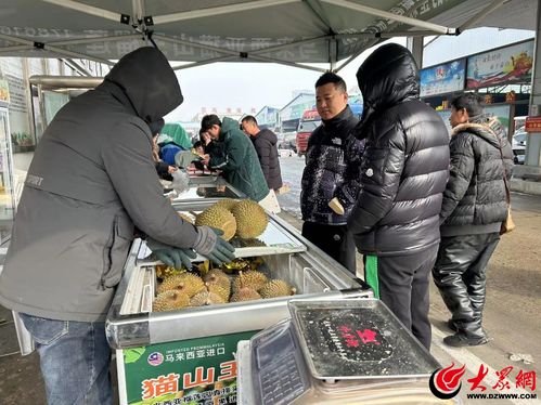 新春走基层 托稳春节 菜篮子 果盘子 米袋子 ,临沂北环农产品批发市场坚守民生保供第一线